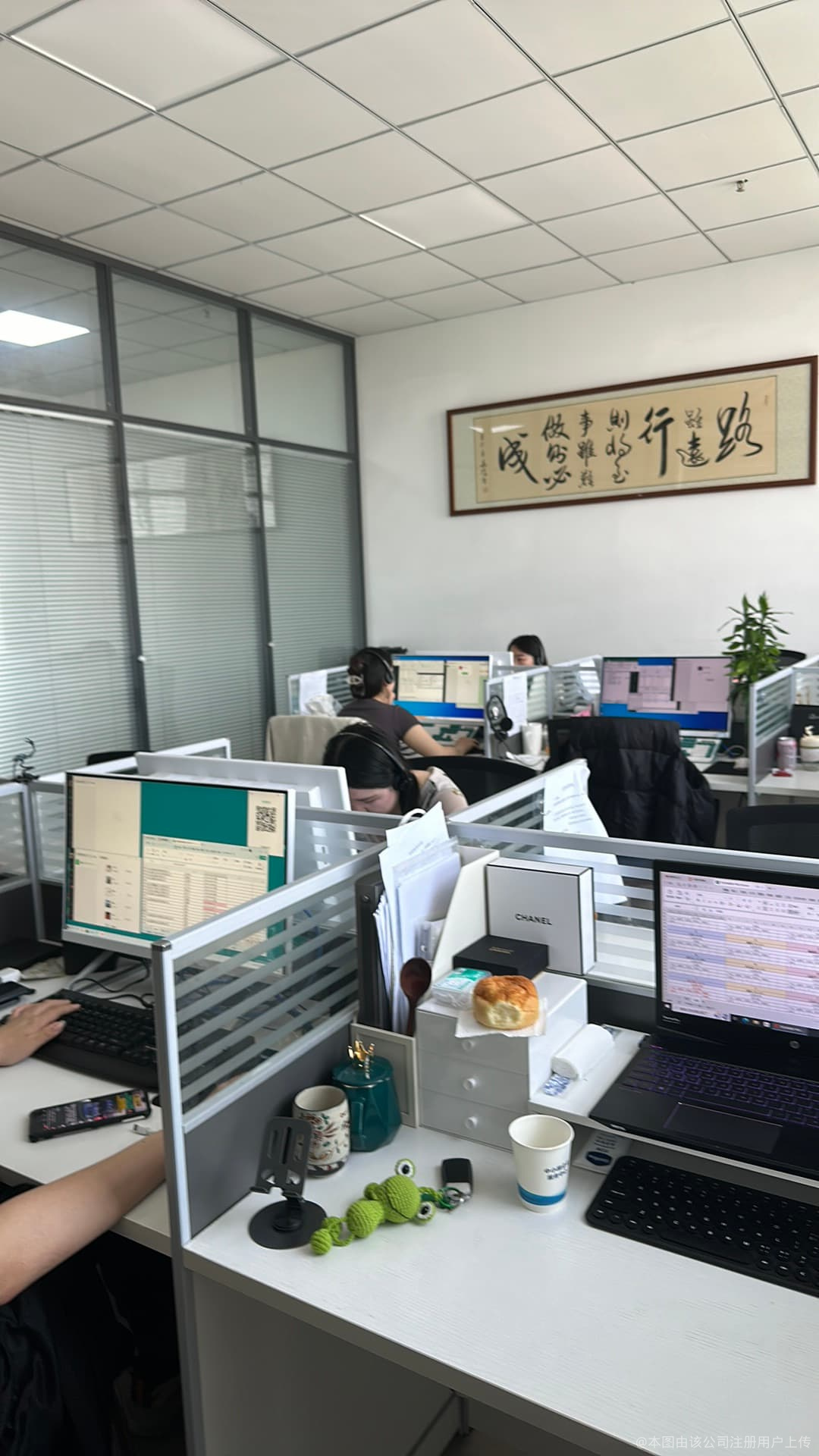 譯家財(cái)務(wù)咨詢(xún)服務(wù) 您的財(cái)務(wù)管理專(zhuān)家
